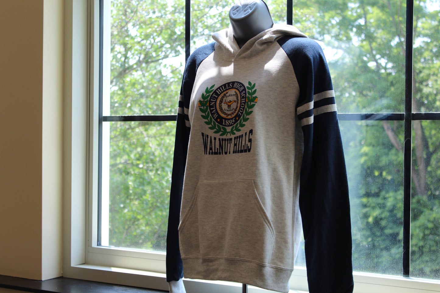 Varsity Color Block Hoodie