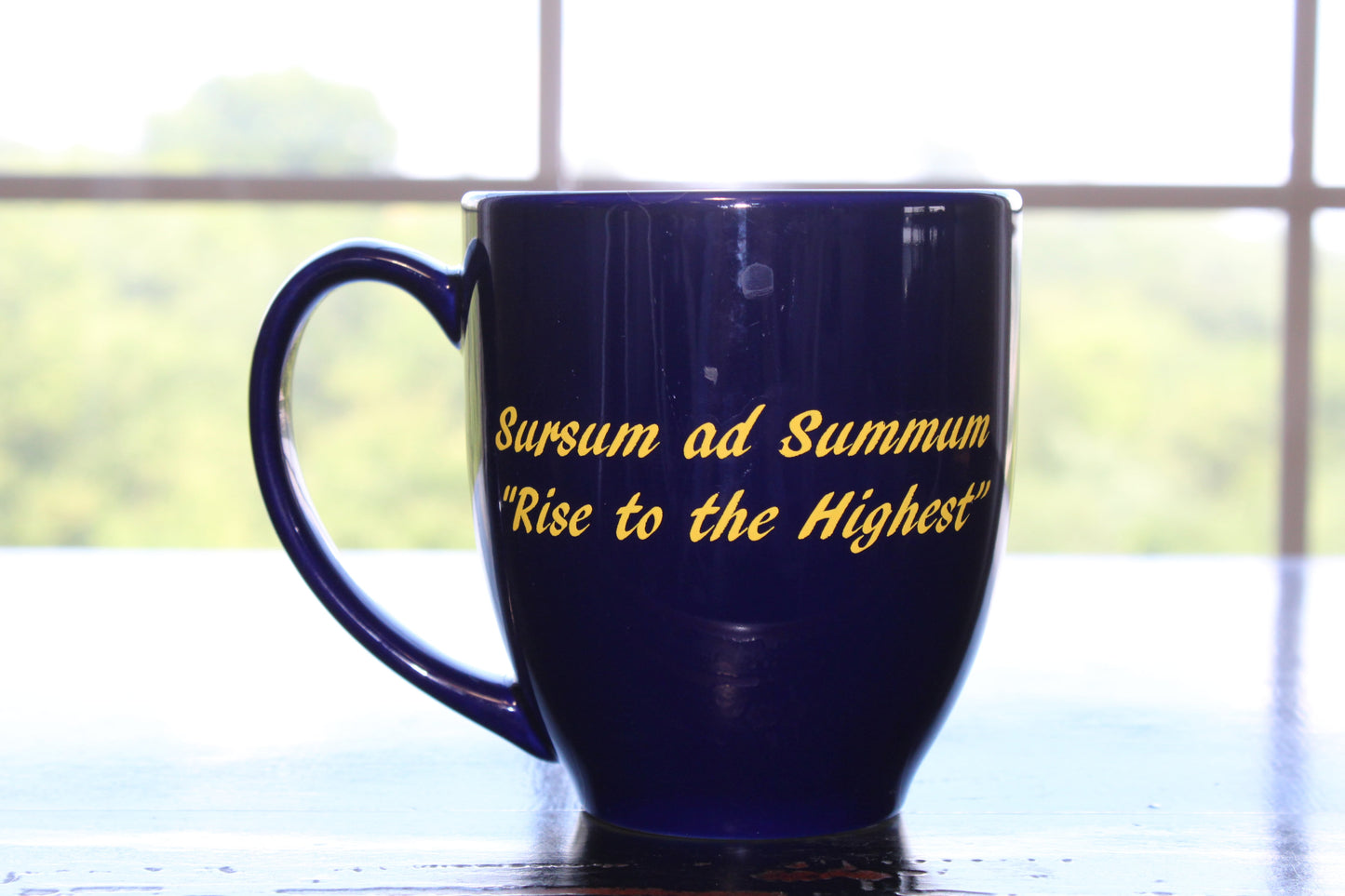 Navy Blue Bistro Mug