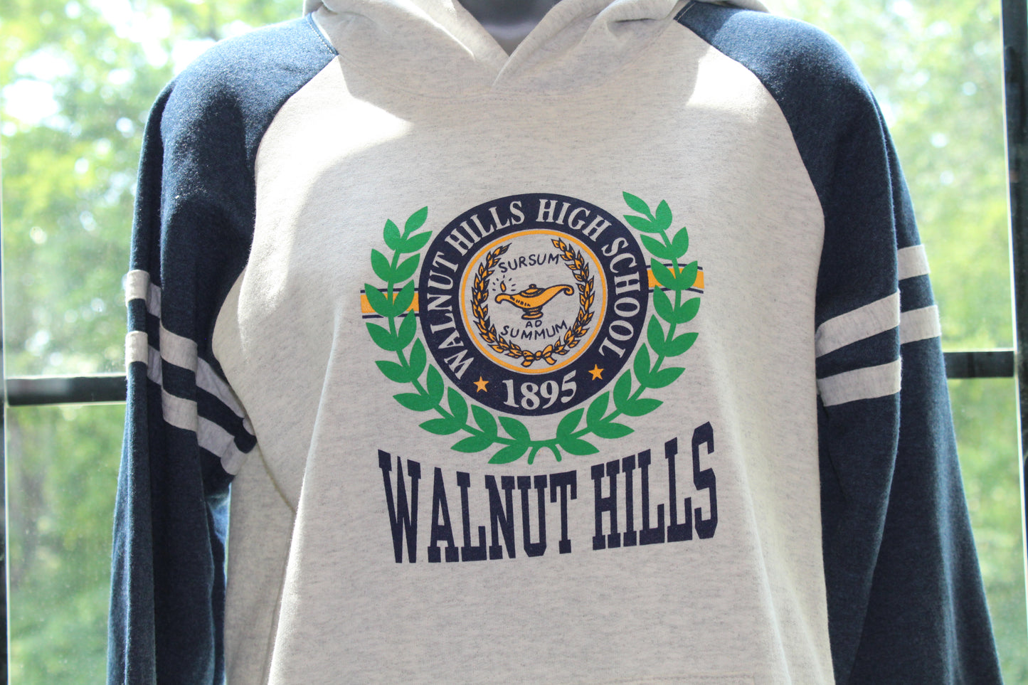 Varsity Color Block Hoodie