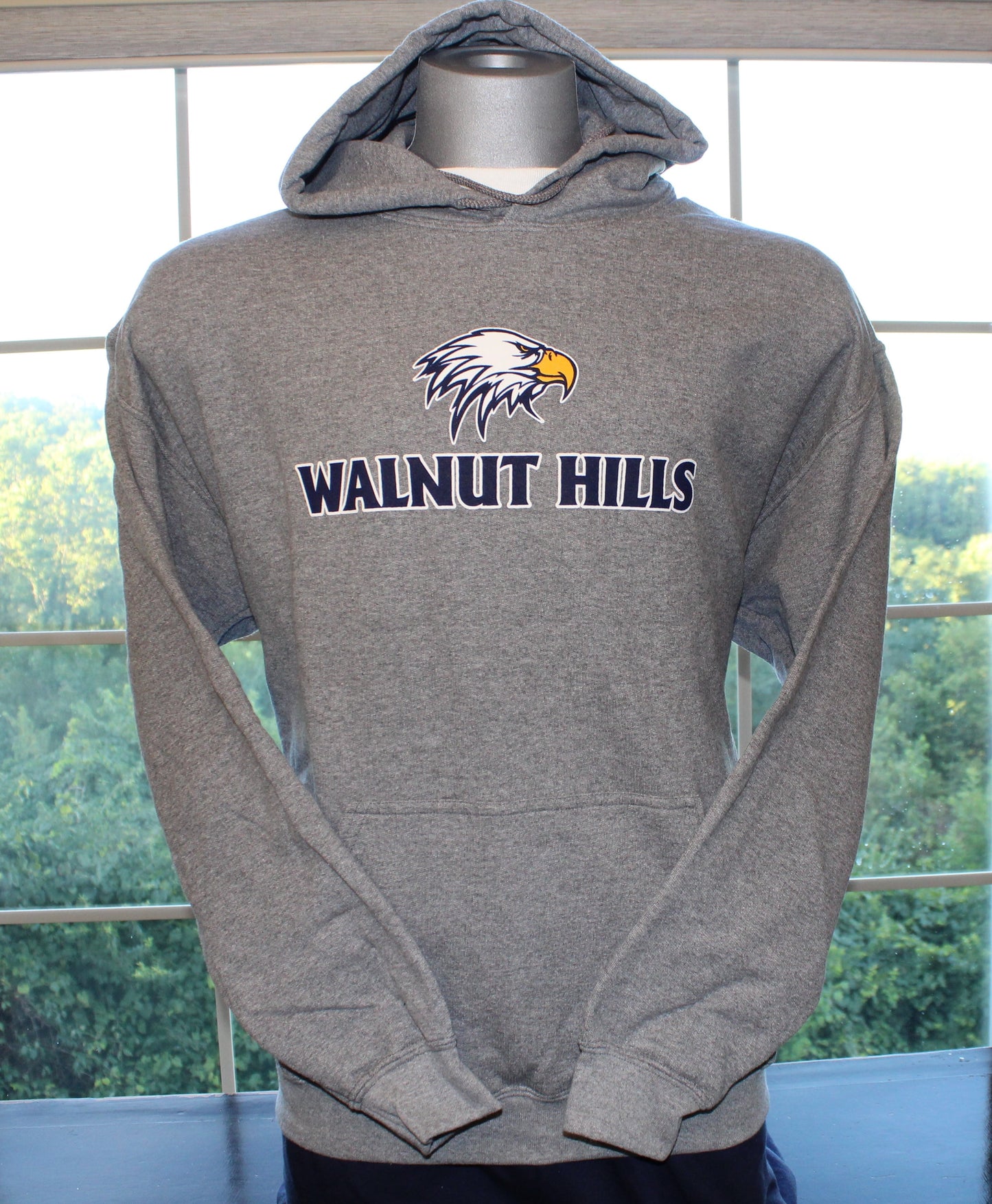 Steel Grey Eagle Hoodie